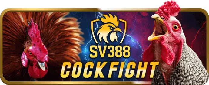 Hình ảnh minh họa việc chia sẻ dữ liệu an toàn tại tk88bet nhà cái